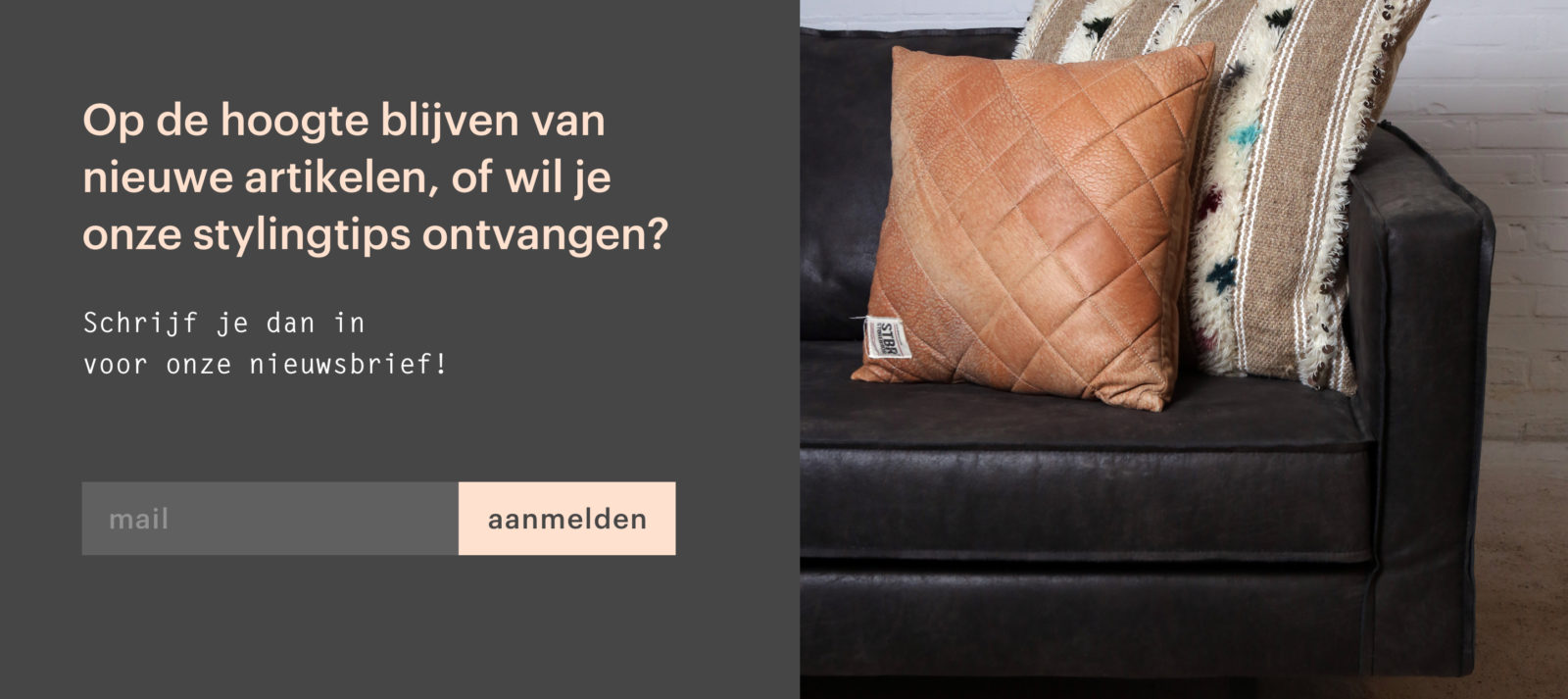 Nieuwsletter